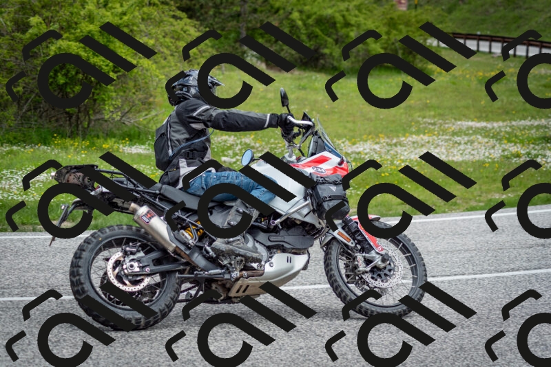 202505181139-DSC_8812_c2