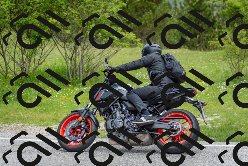 202505181139-DSC_8819_c2