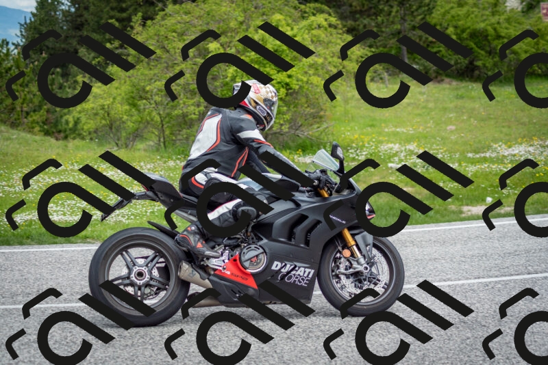 202505181139-DSC_8821_c2