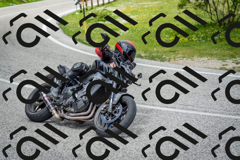 202505181140-DSC_8825_c2