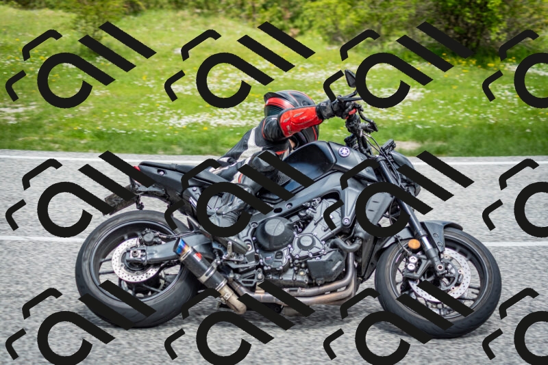 202505181140-DSC_8826_c2