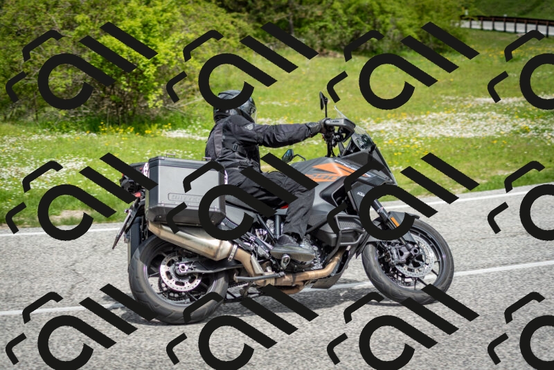 202505181140-DSC_8831_c2