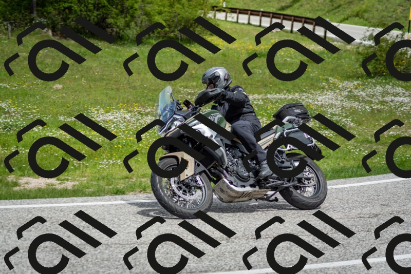 202505181140-DSC_8833_c2