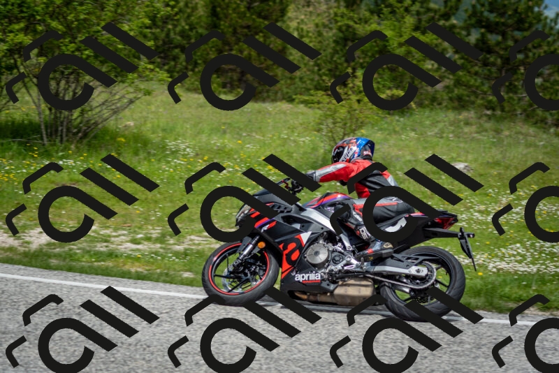 202505181140-DSC_8837_c2