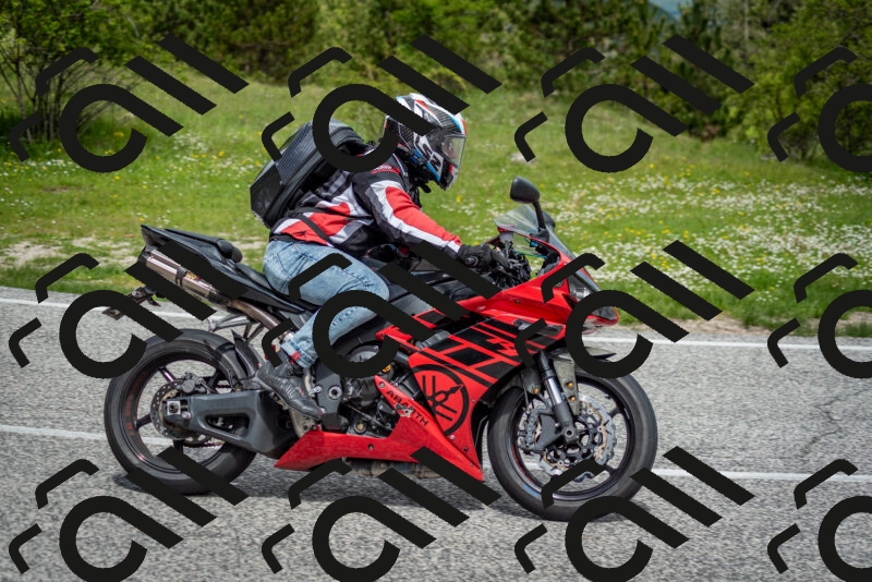 202505181140-DSC_8839_c2