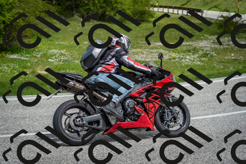 202505181140-DSC_8840_c2