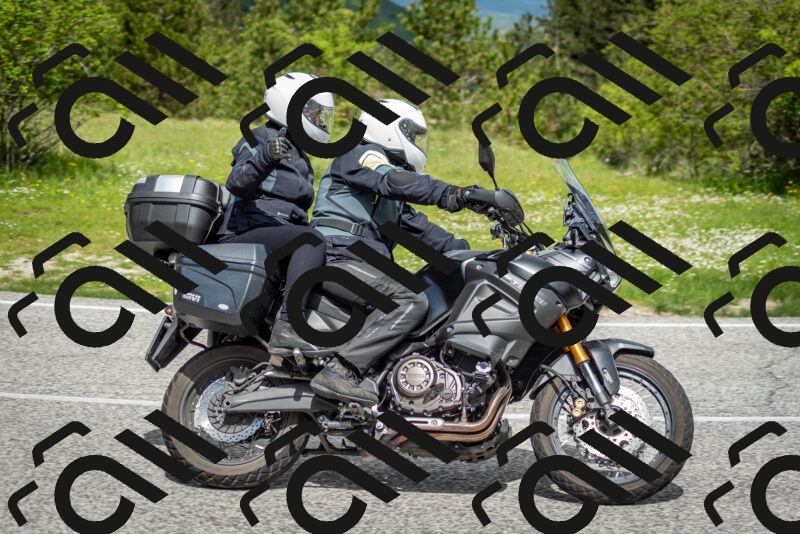 202505181141-DSC_8843_c2