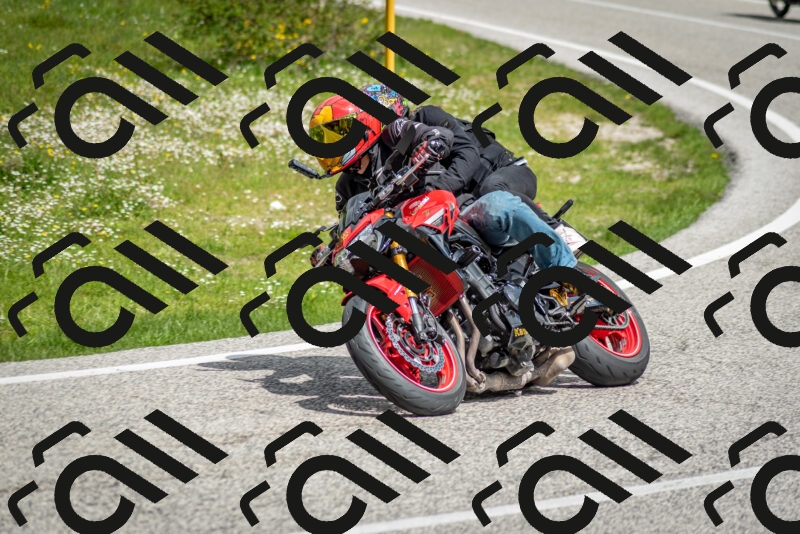 202505181141-DSC_8845_c2