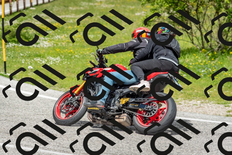 202505181141-DSC_8847_c2