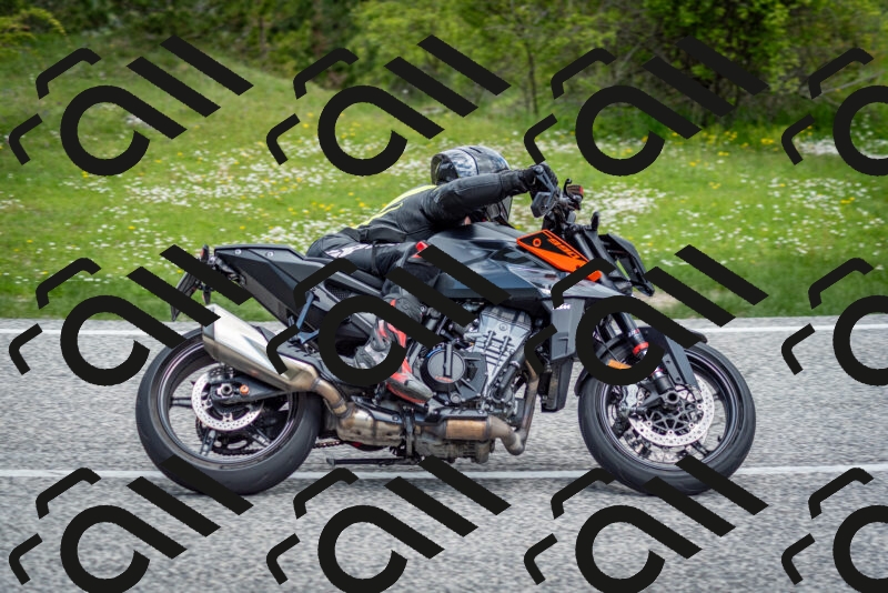 202505181142-DSC_8859_c2