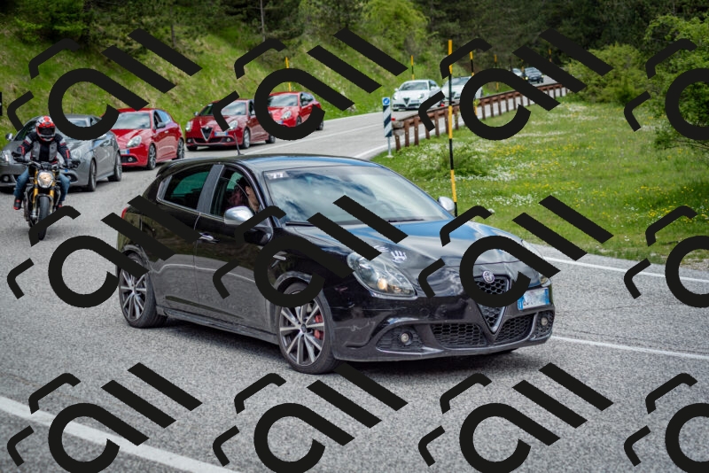 202505181142-DSC_8876_c2