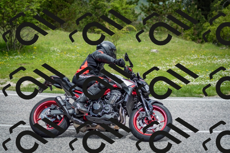 202505181142-DSC_8887_c2