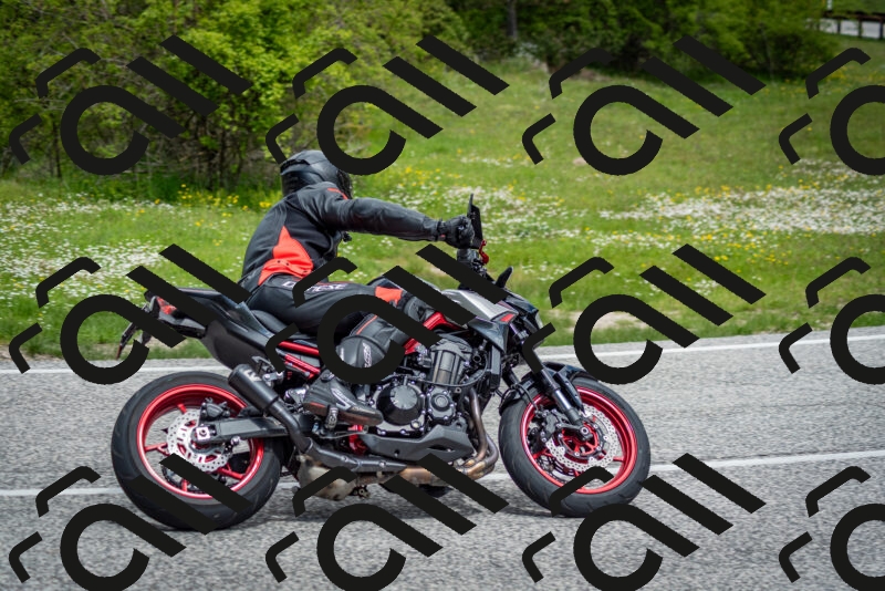 202505181142-DSC_8888_c2