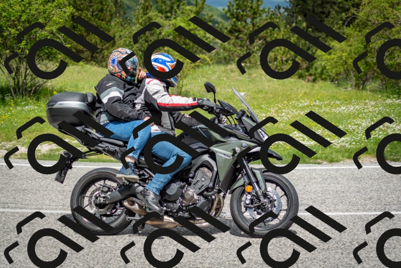 202505181143-DSC_8899_c2