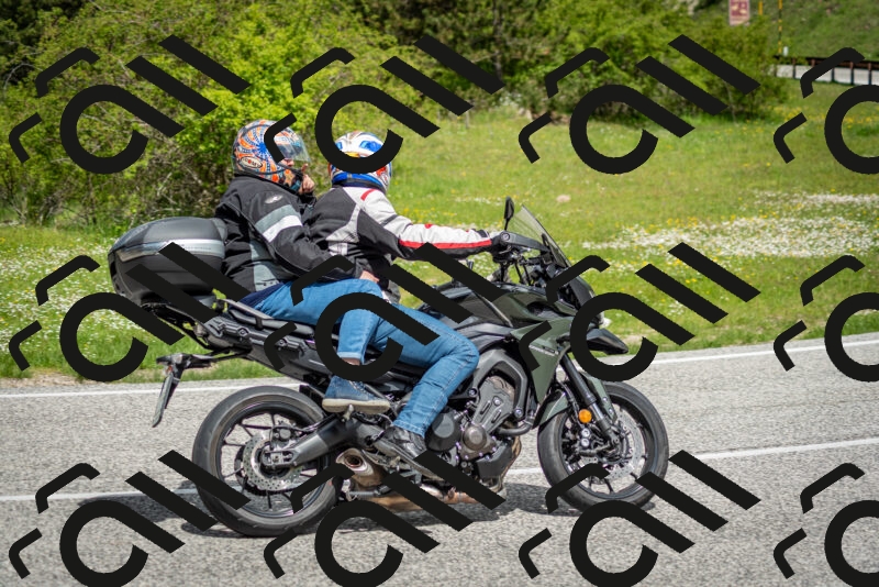 202505181143-DSC_8900_c2