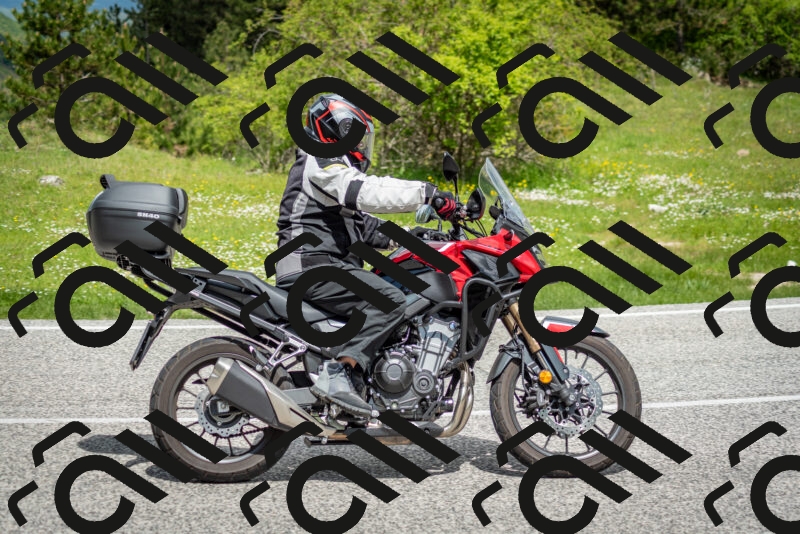 202505181144-DSC_8903_c2