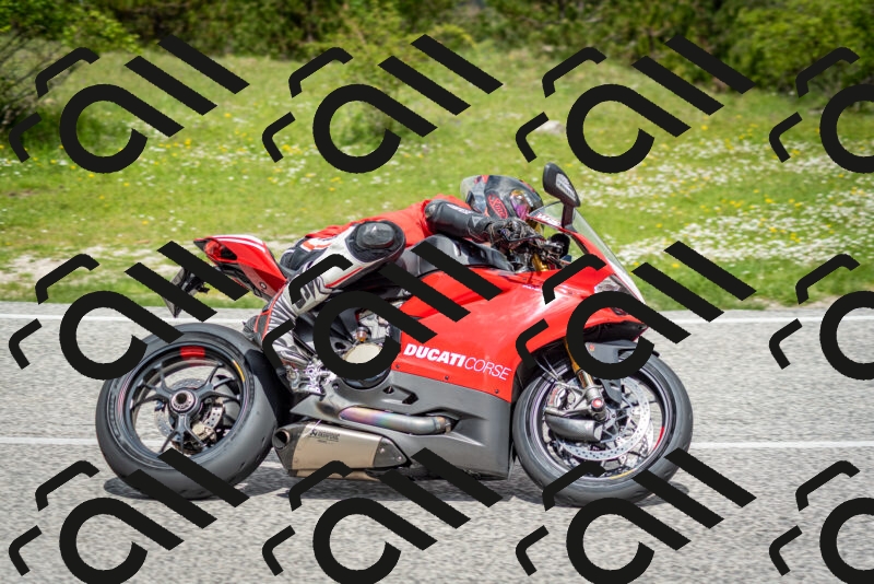 202505181144-DSC_8906_c2