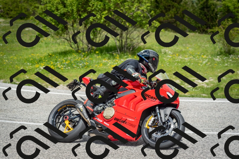 202505181144-DSC_8913_c2