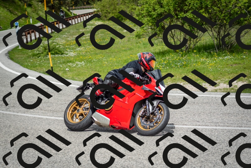 202505181144-DSC_8914_c2