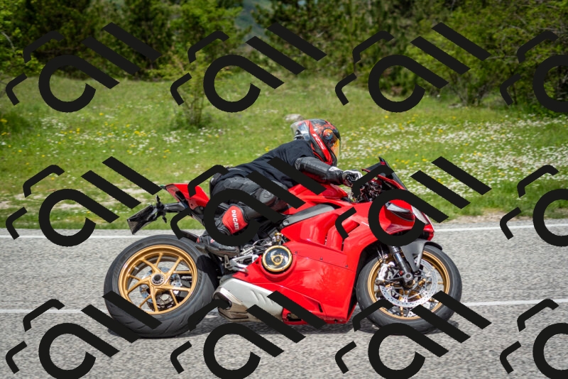 202505181144-DSC_8915_c2