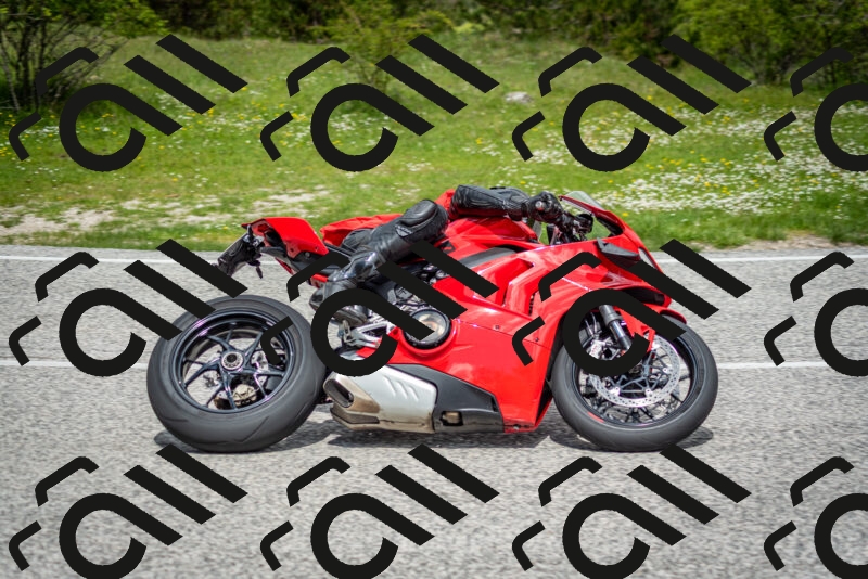 202505181144-DSC_8918_c2