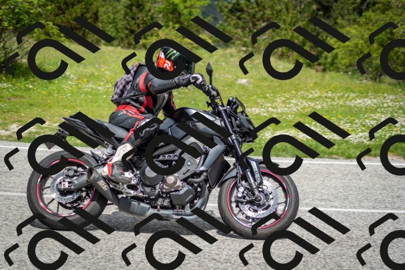 202505181145-DSC_8939_c2