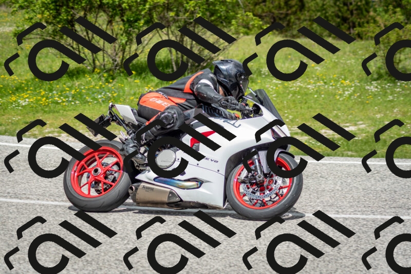 202505181145-DSC_8942_c2