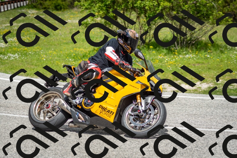 202505181145-DSC_8944_c2