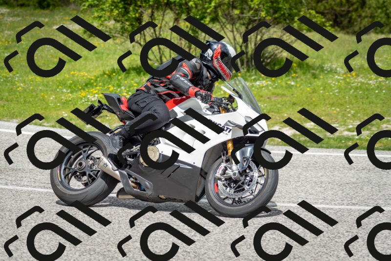 202505181145-DSC_8947_c2