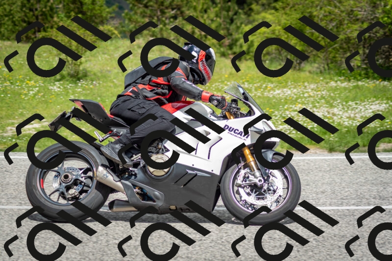 202505181145-DSC_8948_c2