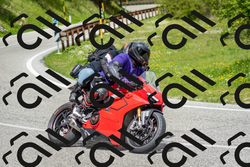 202505181146-DSC_8950_c2