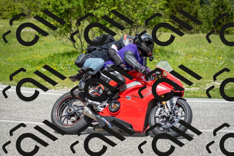 202505181146-DSC_8951_c2