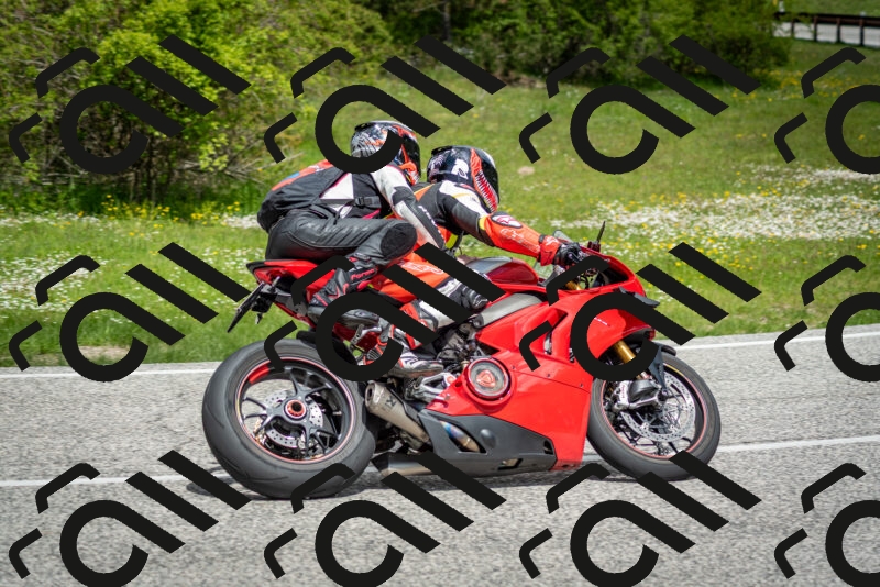 202505181146-DSC_8954_c2