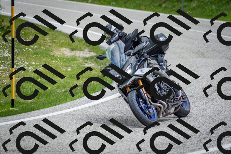 202505181146-DSC_8959_c2