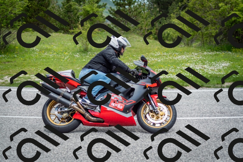 202505181146-DSC_8968_c2