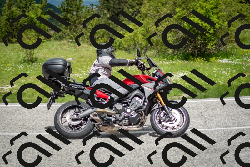 202505181146-DSC_8977_c2