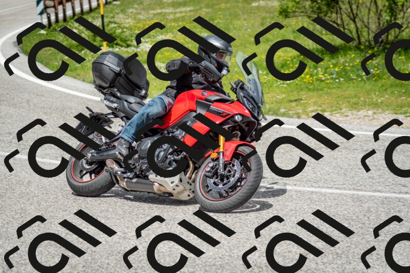 202505181147-DSC_8980_c2