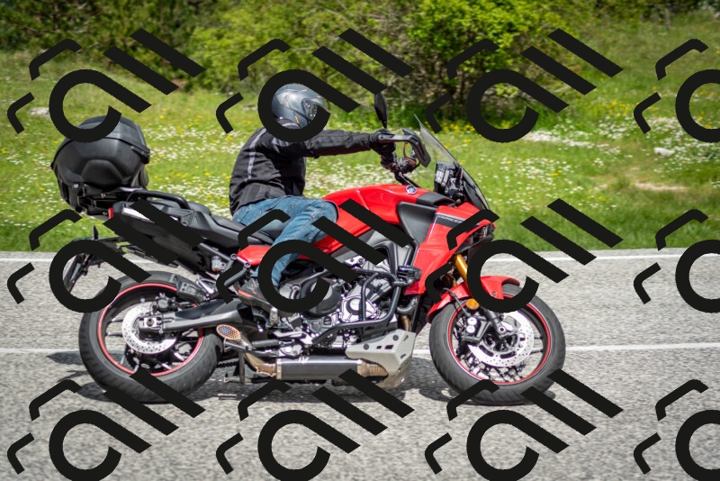 202505181147-DSC_8981_c2