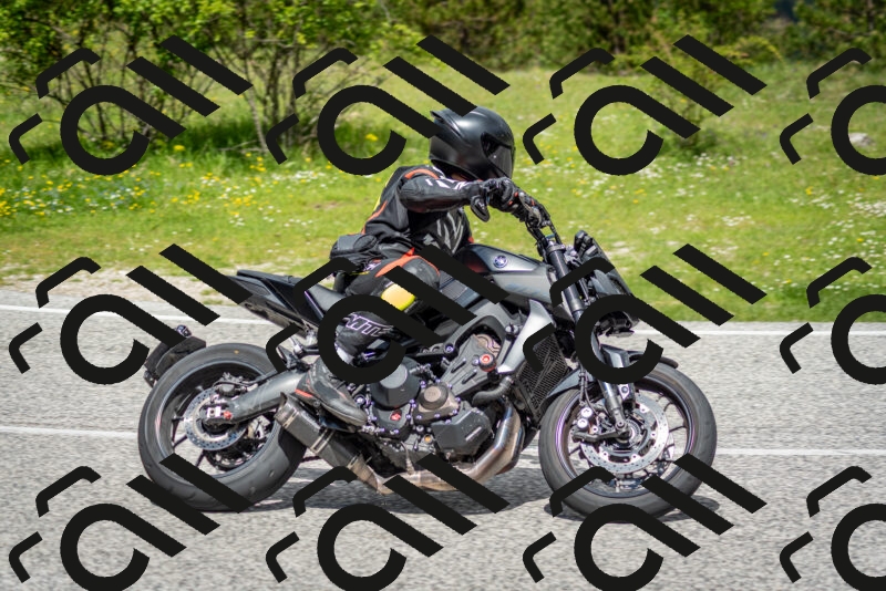 202505181147-DSC_8984_c2