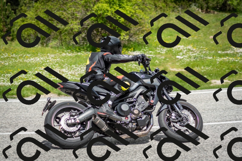 202505181147-DSC_8985_c2