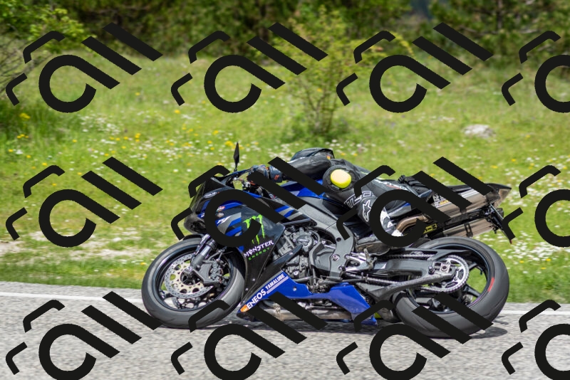 202505181147-DSC_8992_c2