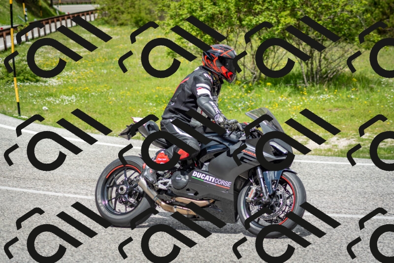 202505181147-DSC_8997_c2