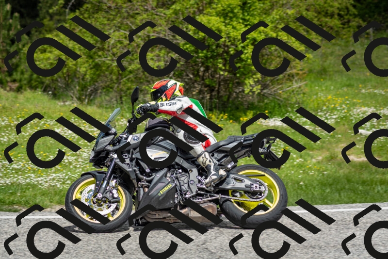 202505181147-DSC_9000_c2