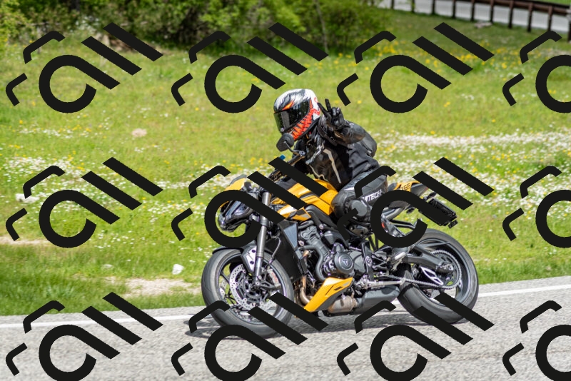 202505181147-DSC_9004_c2