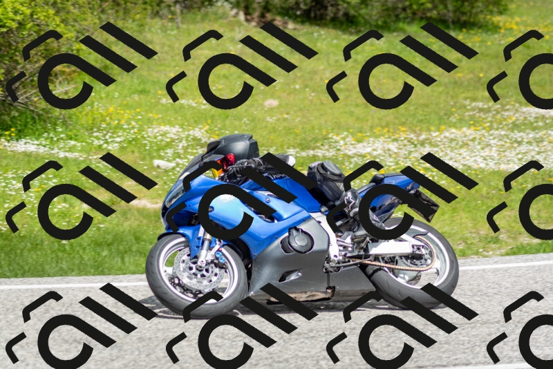 202505181147-DSC_9007_c2