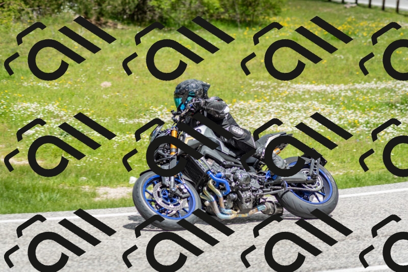 202505181147-DSC_9010_c2