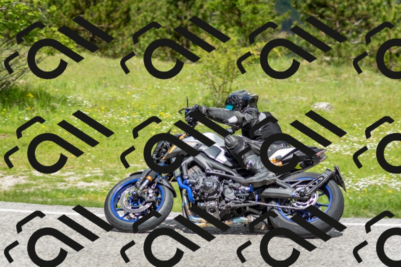 202505181147-DSC_9011_c2