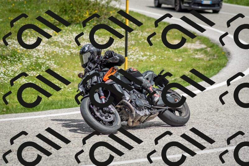 202505181147-DSC_9012_c2