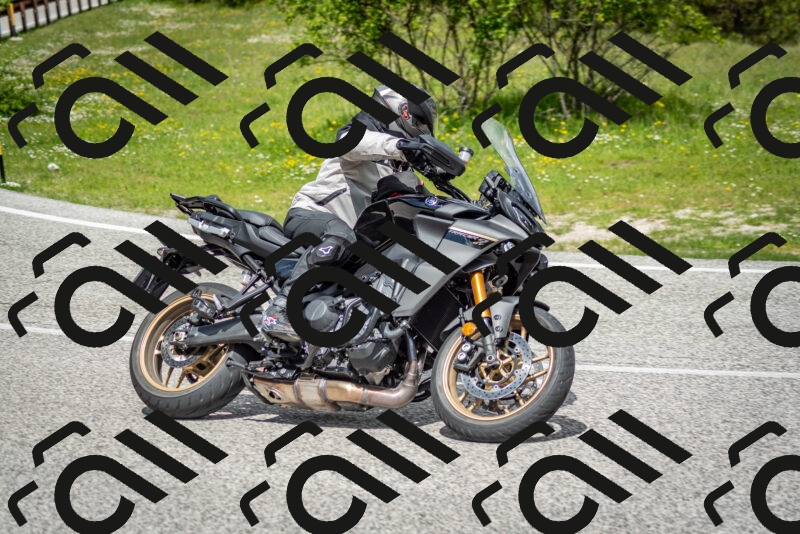 202505181148-DSC_9016_c2