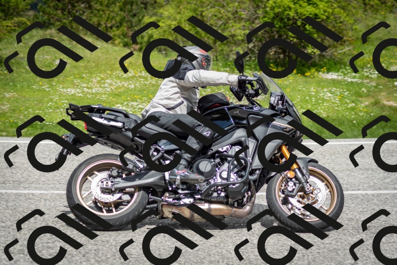 202505181148-DSC_9017_c2